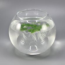 Ряска 3-6см арт.ТК-271 (18шт)