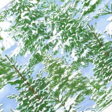 Ткань Timeless Treasure 110*100см арт.ST.M.CM1954.SKY хлопок