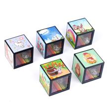 Фокус "Копилка" 7*7*7см арт.730926