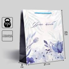 Пакет ламинат 25*21*8см "For you" арт.6582631